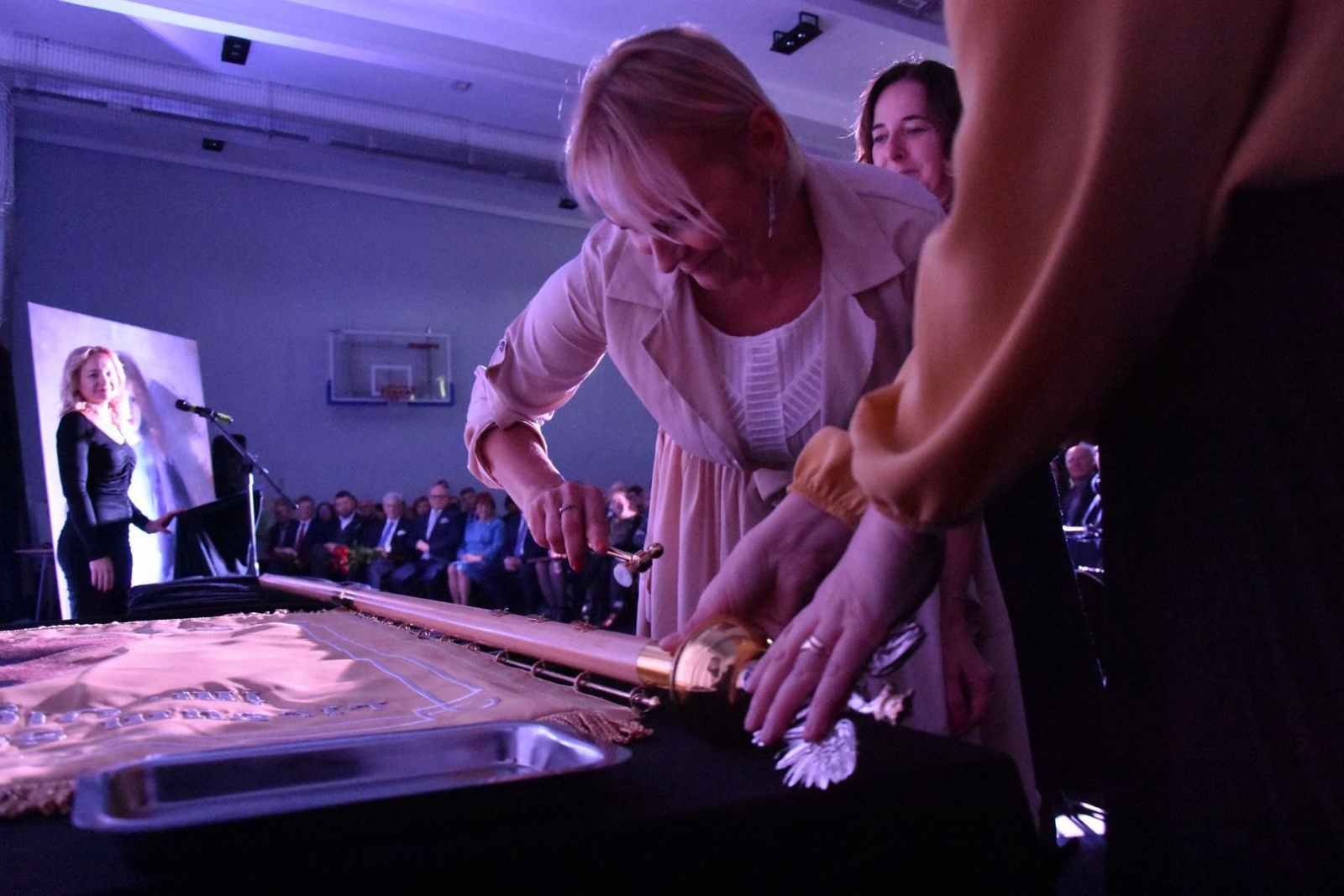 Zdjęcie w galerii na portalu naszwodzislaw.com: Olga Boznańska patronką wodzisławskiego Plastyka [FOTO] wiadomości z regionu