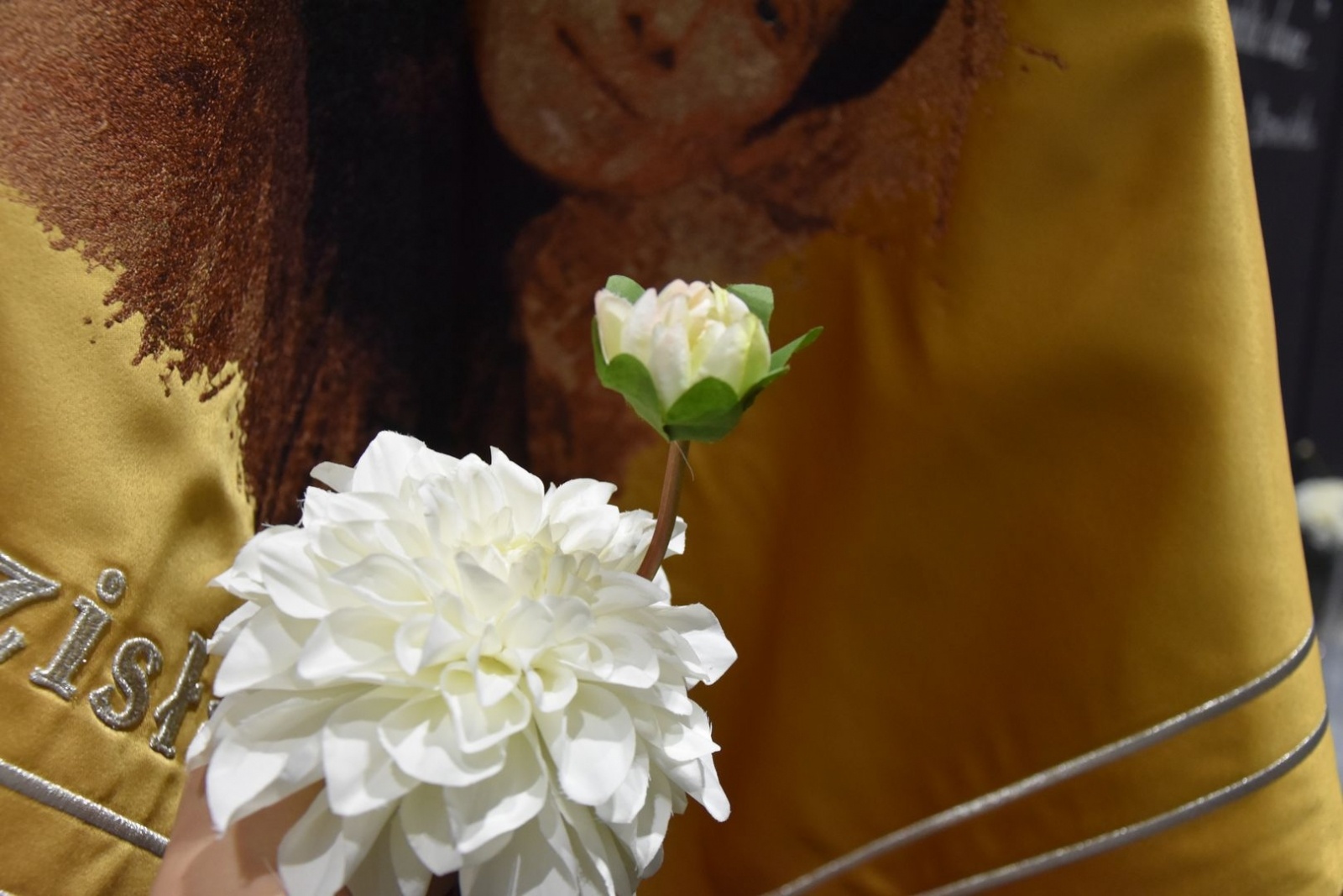 Zdjęcie w galerii na portalu naszwodzislaw.com: Olga Boznańska patronką wodzisławskiego Plastyka [FOTO] wiadomości z regionu