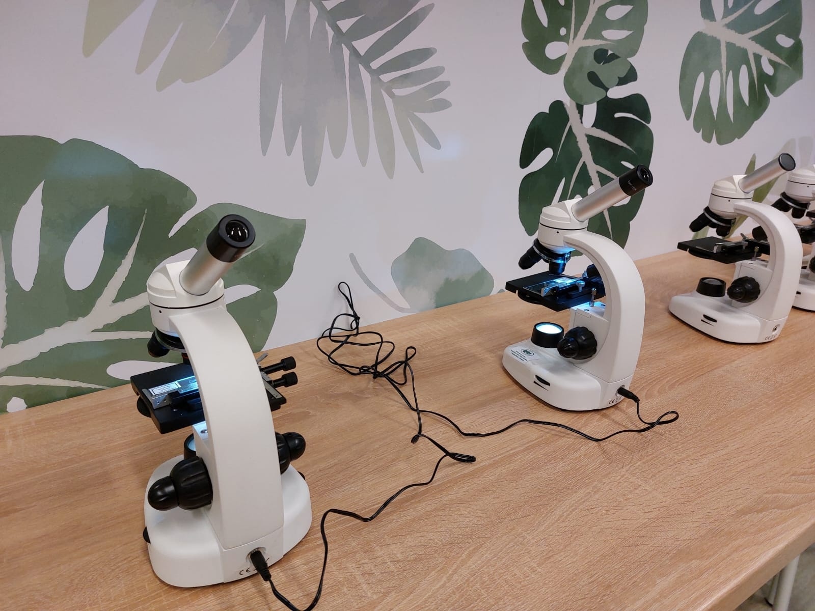 Zdjęcie w galerii na portalu naszwodzislaw.com: W Rogowie mają swoją Eko-dziuplę wiadomości z regionu