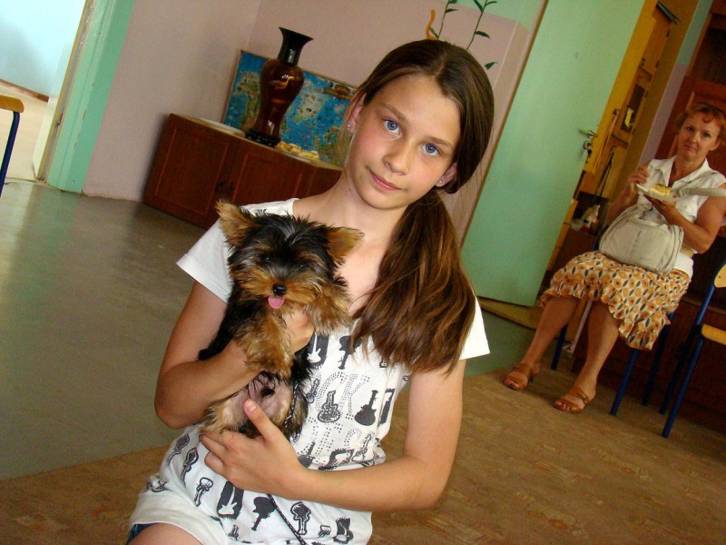 Zdjęcie w galerii na portalu naszwodzislaw.com: Trzy święta w jednym dniu wiadomości z regionu