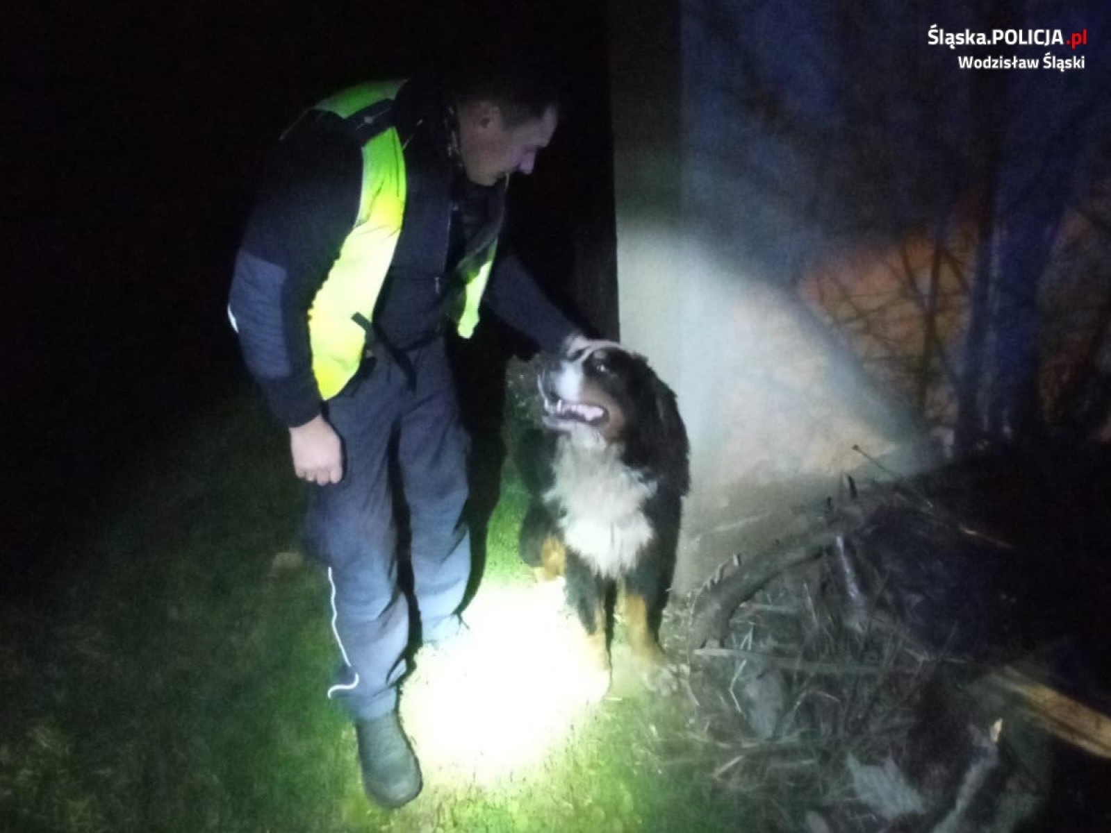 Zdjęcie w galerii na portalu naszwodzislaw.com: Marklowice. Policjanci z drogówki pomogli zagubionemu psu wiadomości z regionu