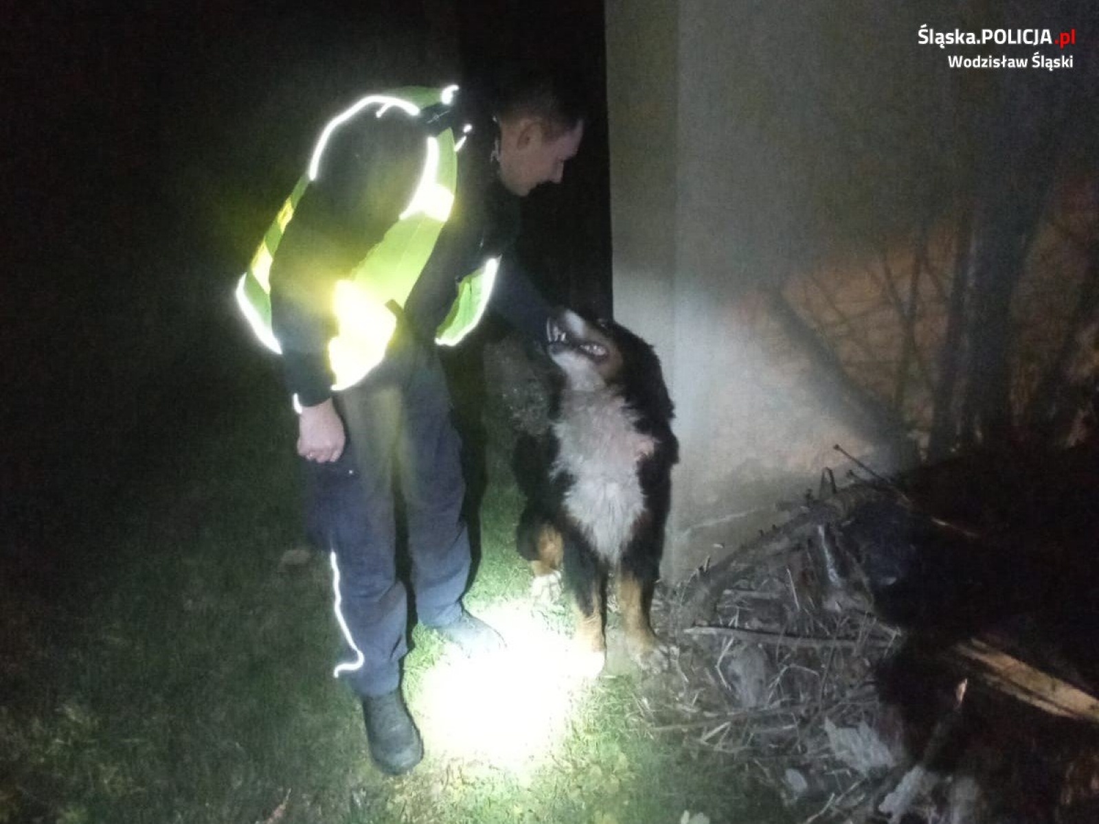 Zdjęcie w galerii na portalu naszwodzislaw.com: Marklowice. Policjanci z drogówki pomogli zagubionemu psu wiadomości z regionu