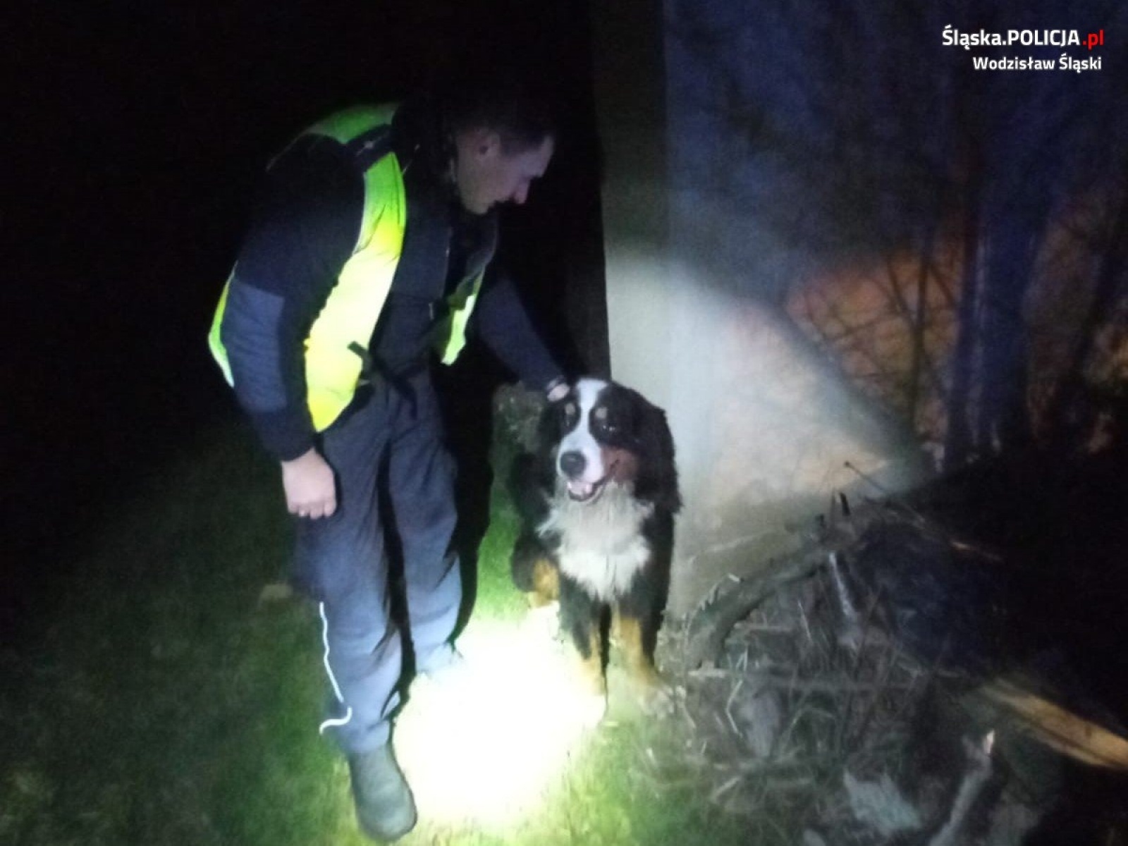 Zdjęcie w galerii na portalu naszwodzislaw.com: Marklowice. Policjanci z drogówki pomogli zagubionemu psu wiadomości z regionu