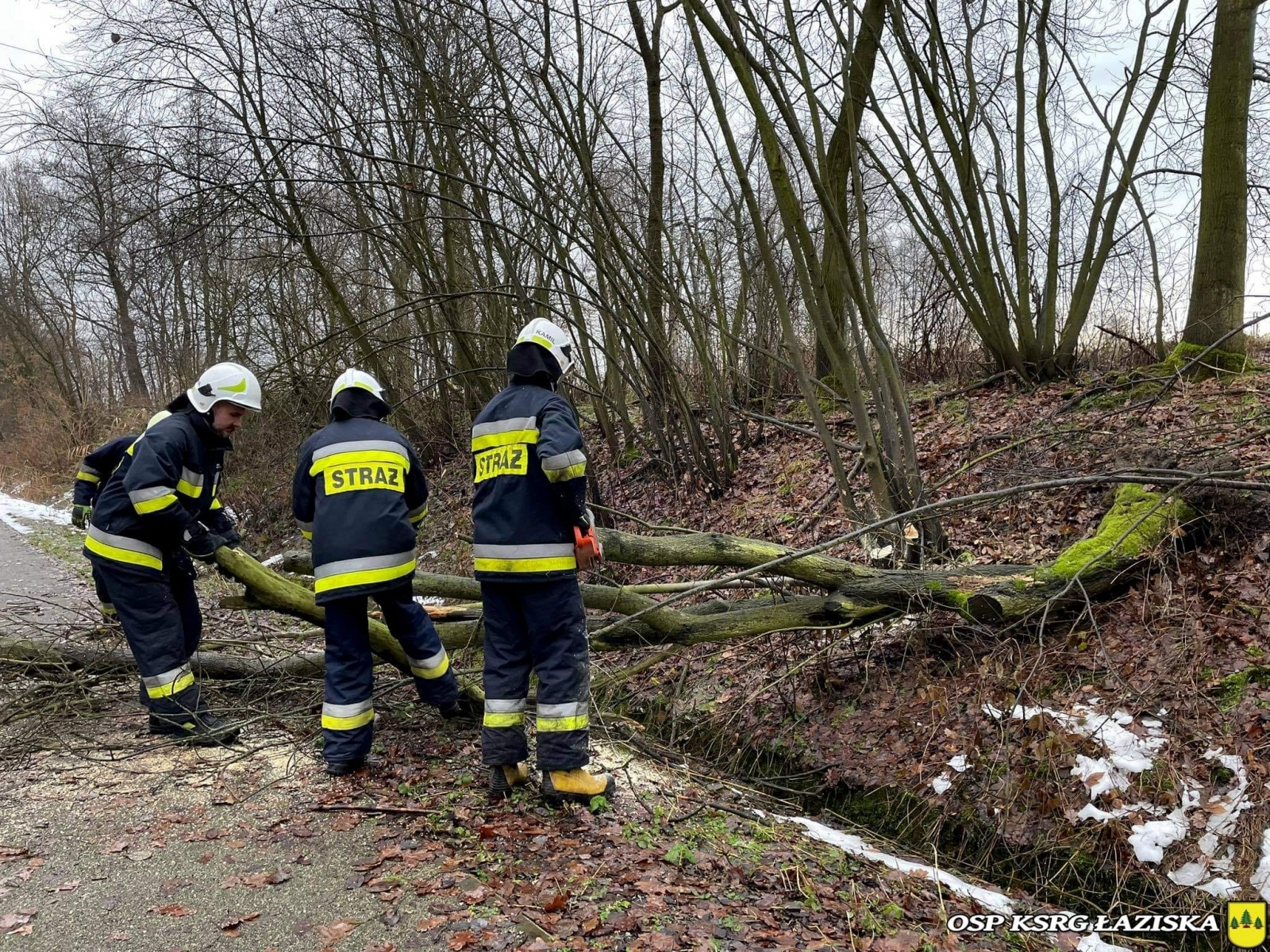Zdjęcie w galerii na portalu naszwodzislaw.com: Powalone drzewo tarasowało ścieżkę rowerową wiadomości z regionu