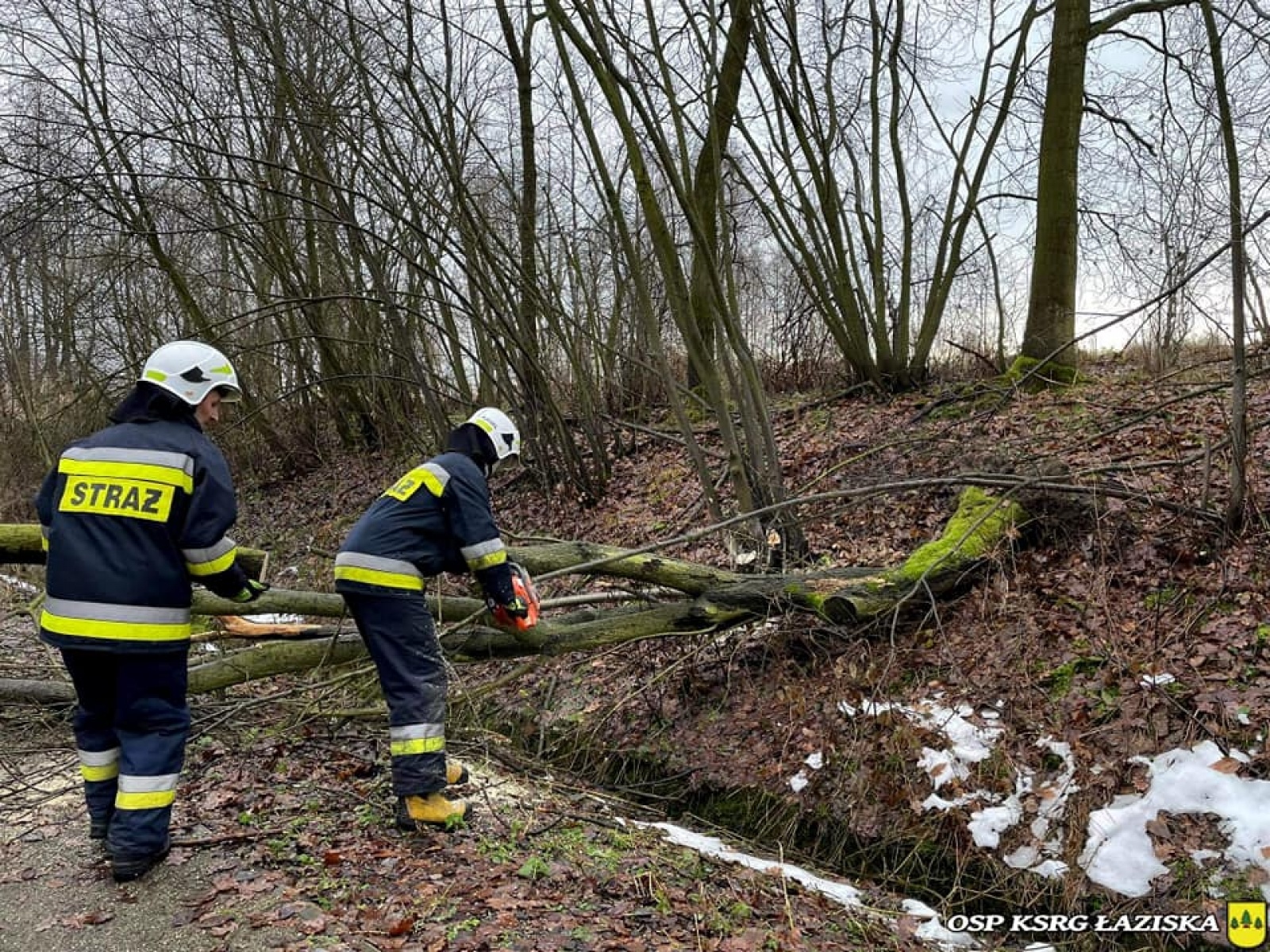 Zdjęcie w galerii na portalu naszwodzislaw.com: Powalone drzewo tarasowało ścieżkę rowerową wiadomości z regionu