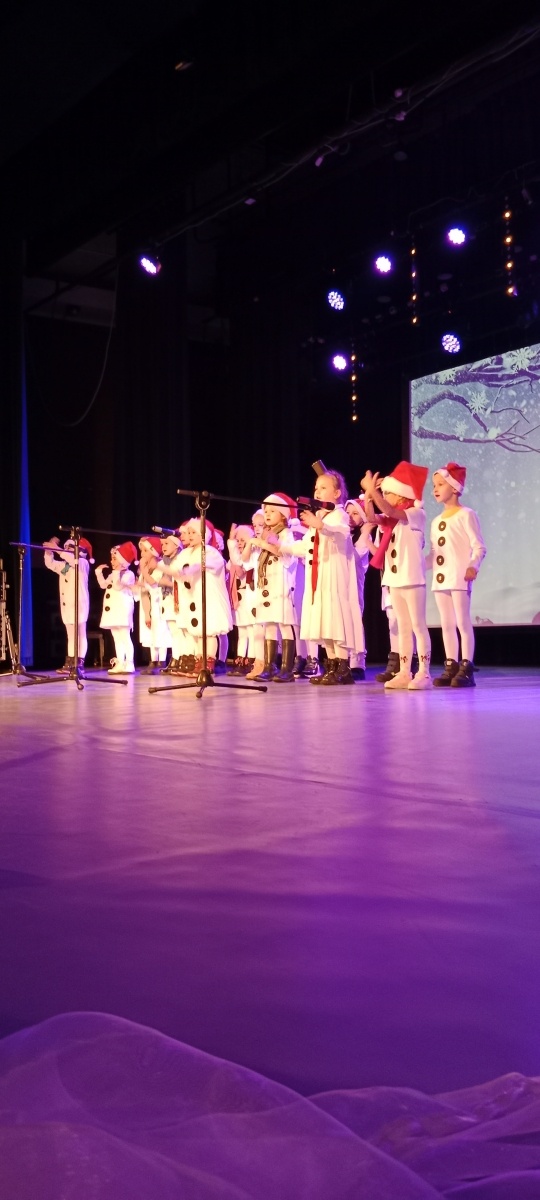 Zdjęcie w galerii na portalu naszwodzislaw.com: Magiczna zima w Pszowie wiadomości z regionu