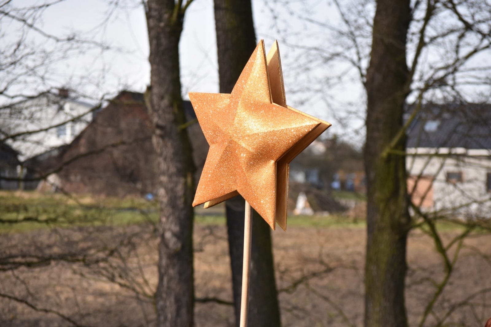 Zdjęcie w galerii na portalu naszwodzislaw.com: Orszak Trzech Króli w Skrbeńsku [FOTO] wiadomości z regionu