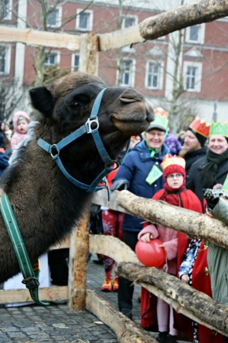Zdjęcie w galerii na portalu naszwodzislaw.com: Orszak Trzech Króli w Rydułtowach [FOTO] wiadomości z regionu
