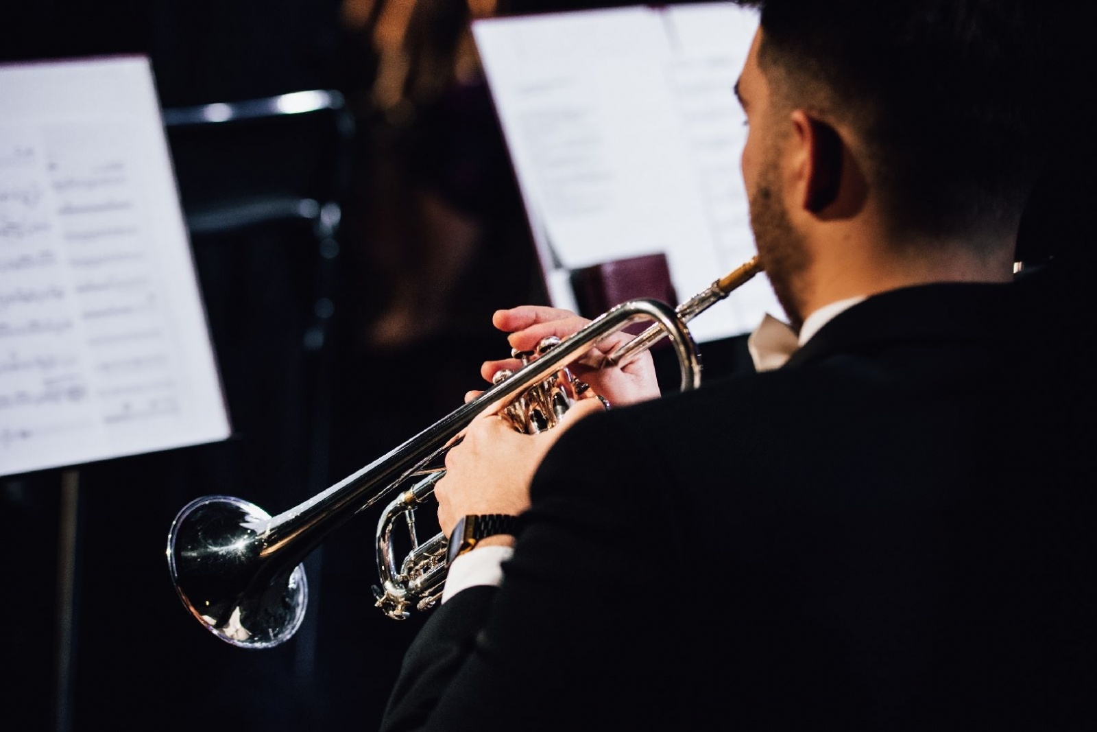 Zdjęcie w galerii na portalu naszwodzislaw.com: 25-lecie Powiatu Wodzisławskiego. Koncertowy początek roku [FOTO] wiadomości z regionu
