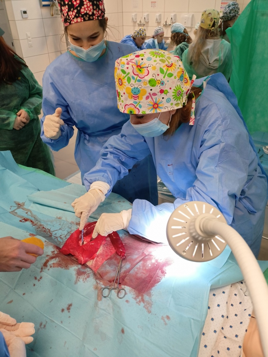 Zdjęcie w galerii na portalu naszwodzislaw.com: Uczniowie szkół średnich poznali MCSM w Raciborzu wiadomości z regionu