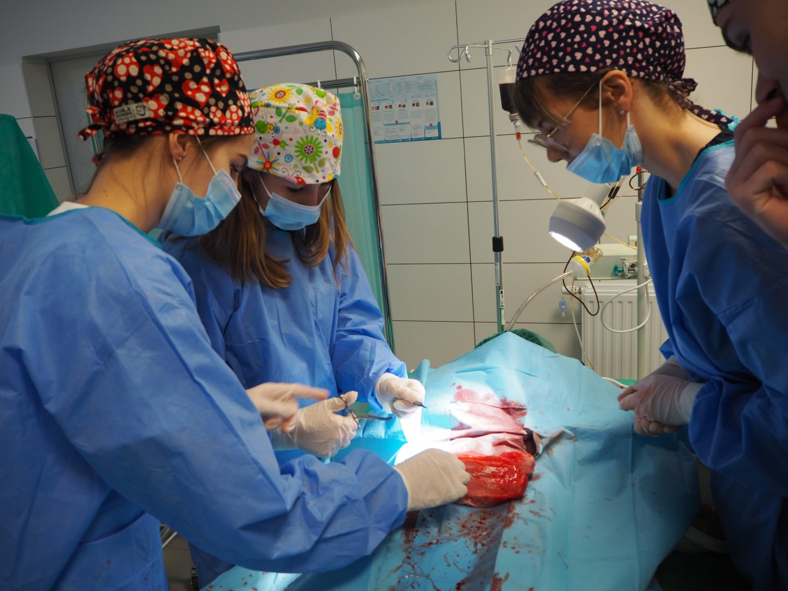 Zdjęcie w galerii na portalu naszwodzislaw.com: Uczniowie szkół średnich poznali MCSM w Raciborzu wiadomości z regionu