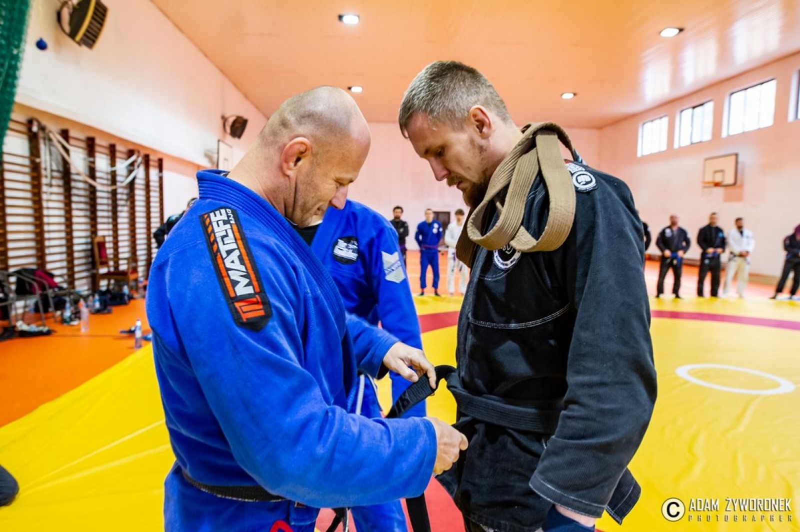 Zdjęcie w galerii na portalu naszwodzislaw.com: Krystian Stein promowany na czarny pas wiadomości z regionu