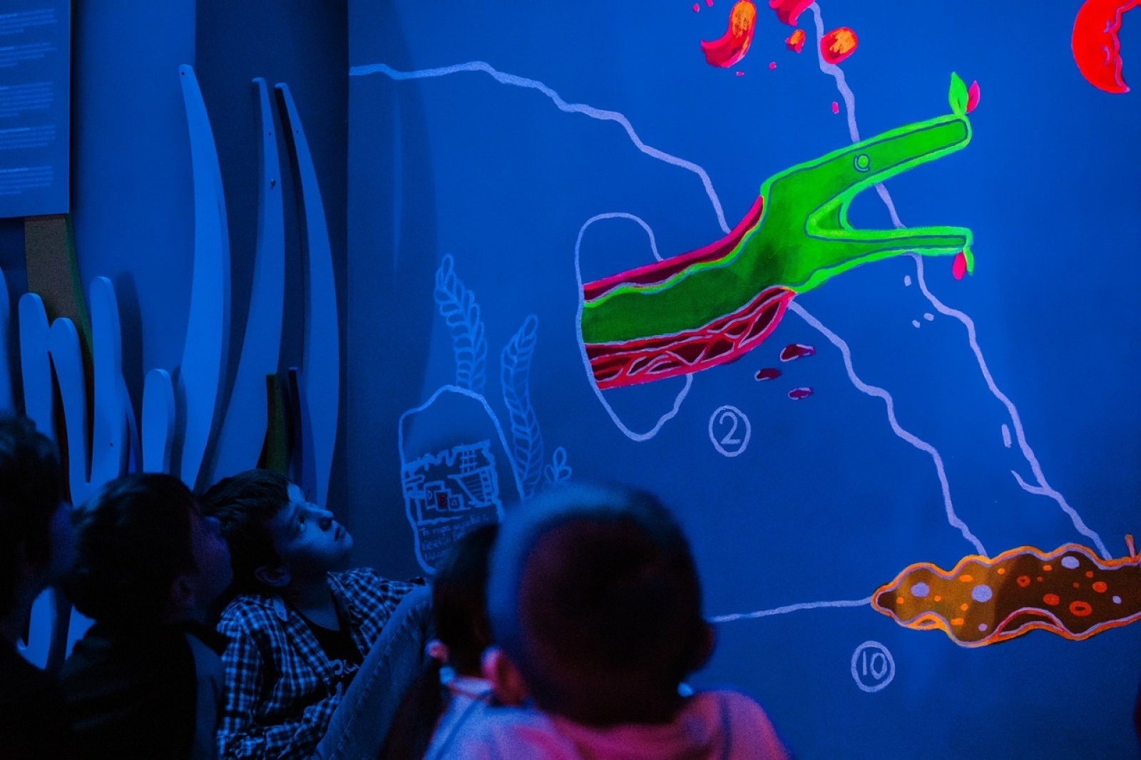 Zdjęcie w galerii na portalu naszwodzislaw.com: Akcja Zima z WCK za nami [FOTO] wiadomości z regionu