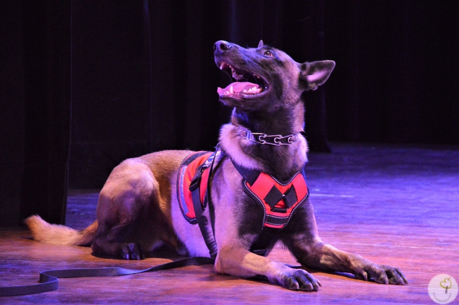 Zdjęcie w galerii na portalu naszwodzislaw.com: WOŚP. W Radlinie zebrano prawie 40 tys. złotych wiadomości z regionu