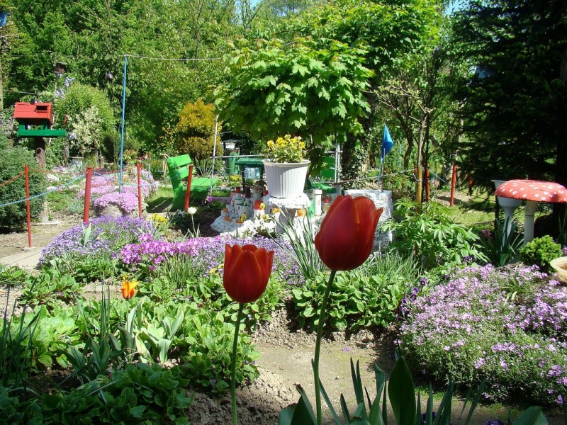 Zdjęcie w galerii na portalu naszwodzislaw.com: Nagrody za ogrody i zieleńce  wiadomości z regionu