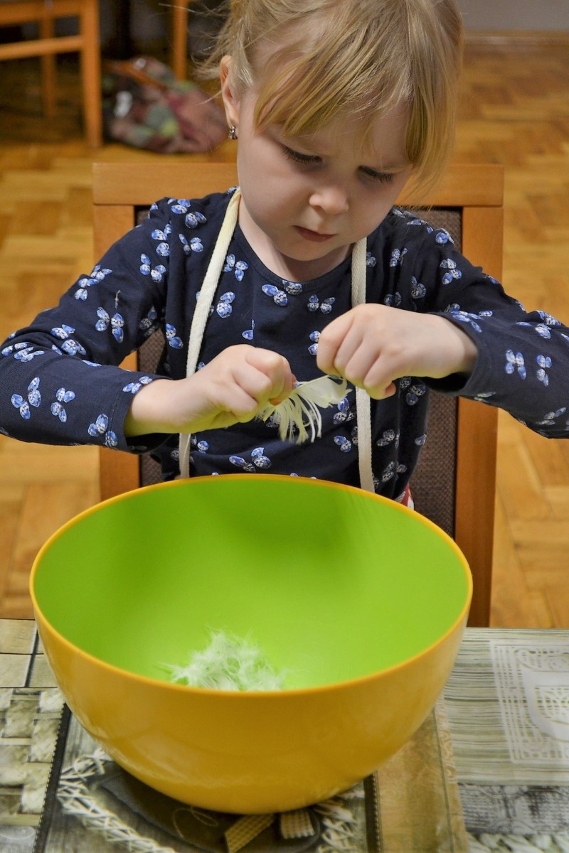 Zdjęcie w galerii na portalu naszwodzislaw.com: Szkubaczki powróciły do Skrbeńska [FOTO] wiadomości z regionu