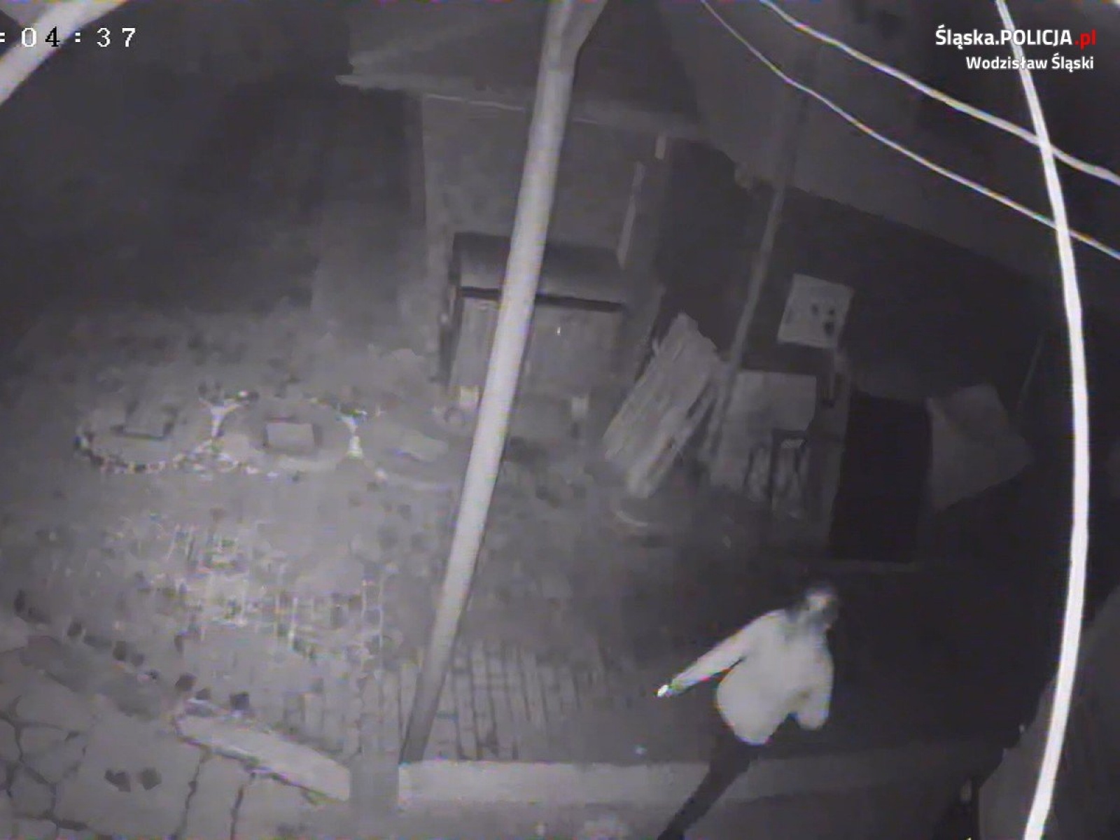 Zdjęcie w galerii na portalu naszwodzislaw.com: Policjanci z Gorzyc poszukują złodziei z Łazisk. Poznajesz ich? wiadomości z regionu