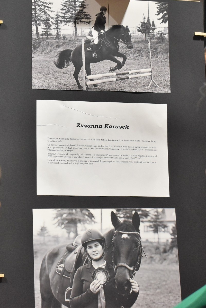 Zdjęcie w galerii na portalu naszwodzislaw.com: Ciężka praca się opłaca. Wernisaż wystawy o młodych sportowcach za nami wiadomości z regionu