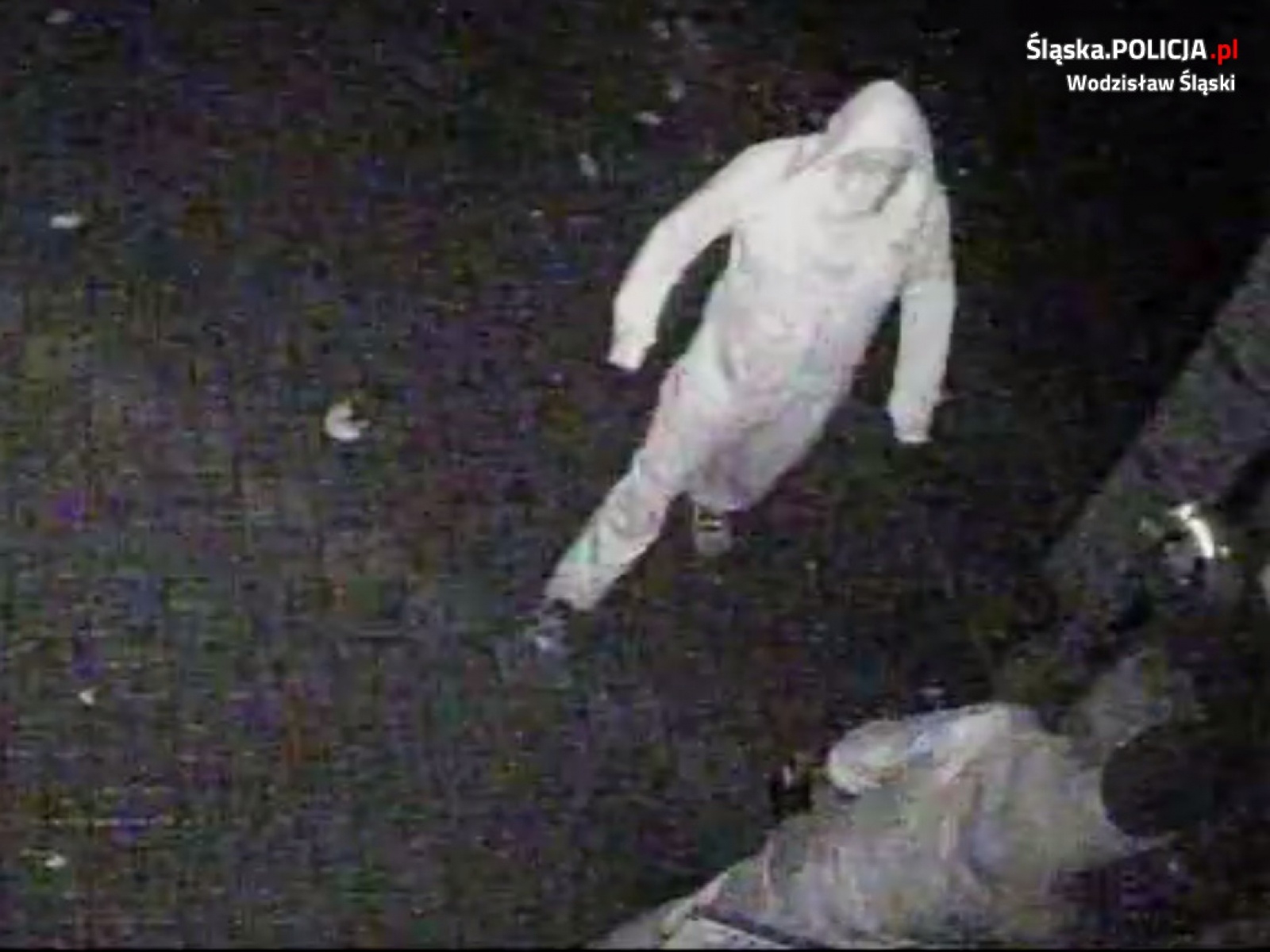 Zdjęcie w galerii na portalu naszwodzislaw.com: Policjanci z Gorzyc szukają sprawców kradzieży z włamaniem wiadomości z regionu