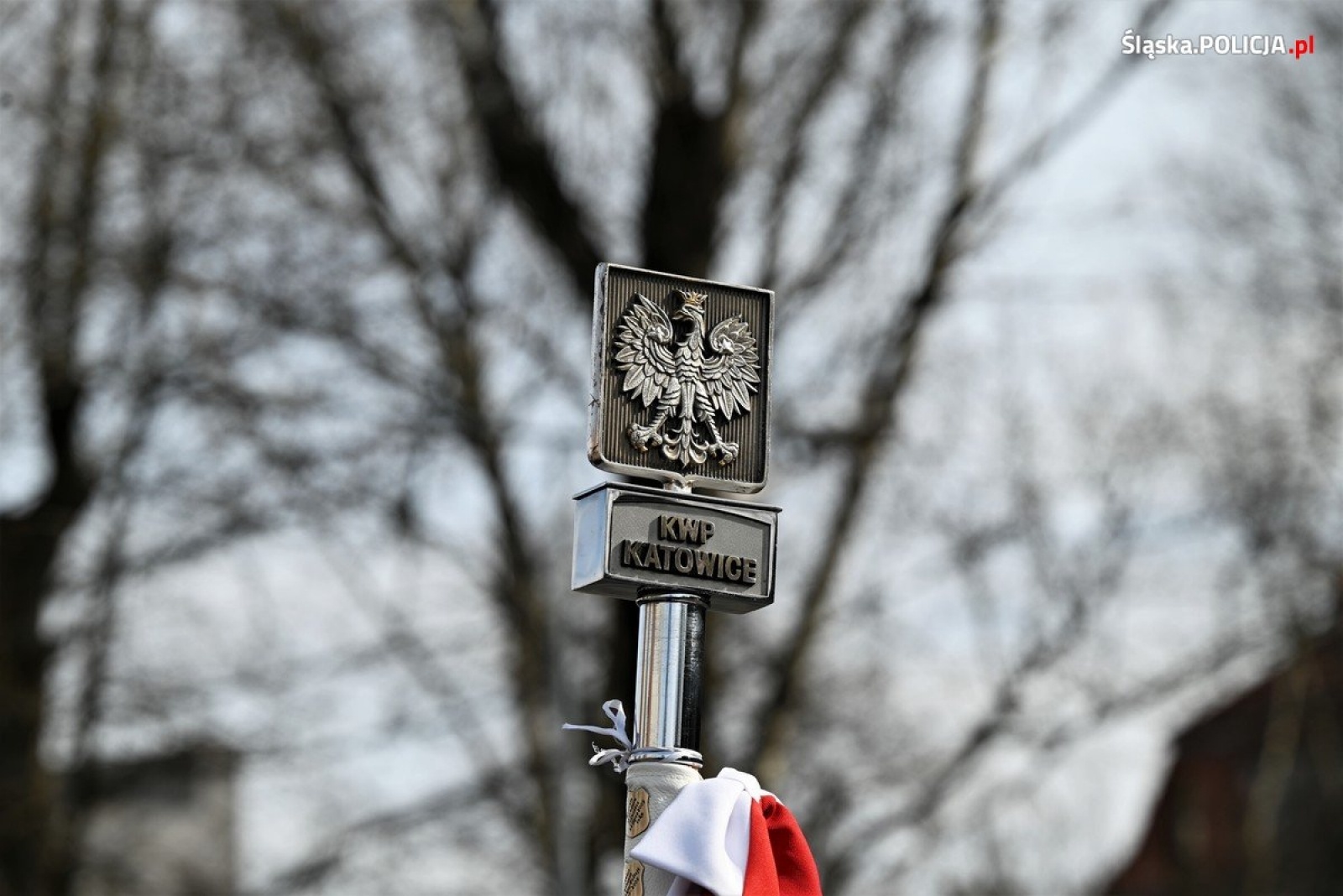 Zdjęcie w galerii na portalu naszwodzislaw.com: Ponad 80 nowych śląskich policjantów złożyło ślubowanie wiadomości z regionu