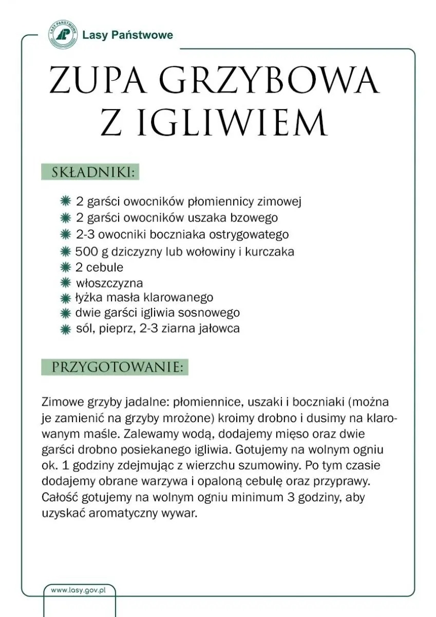 Zdjęcie w galerii na portalu naszwodzislaw.com: Skarby raciborskich lasów. Miodek z igliwia wiadomości z regionu