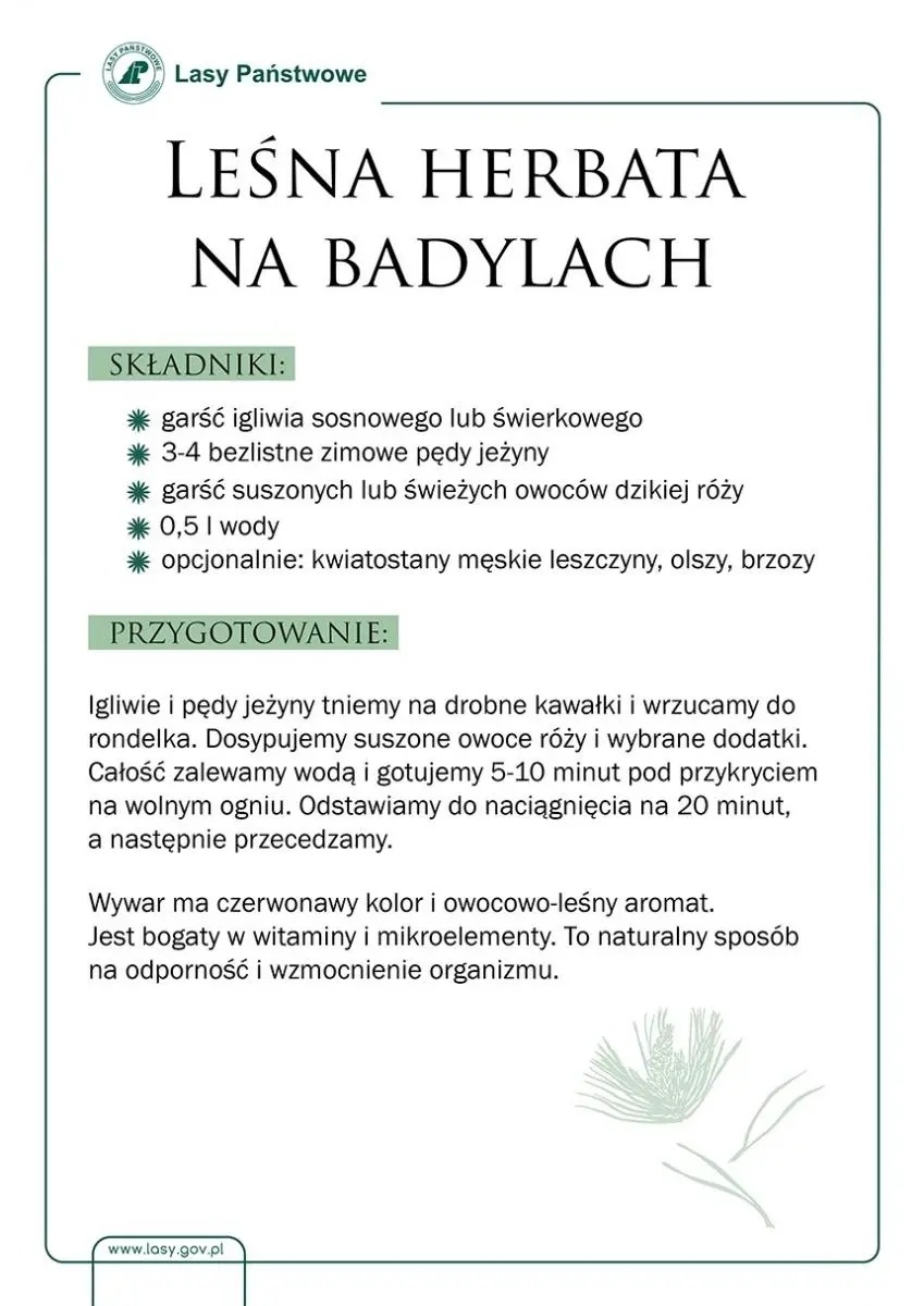 Zdjęcie w galerii na portalu naszwodzislaw.com: Skarby raciborskich lasów. Miodek z igliwia wiadomości z regionu