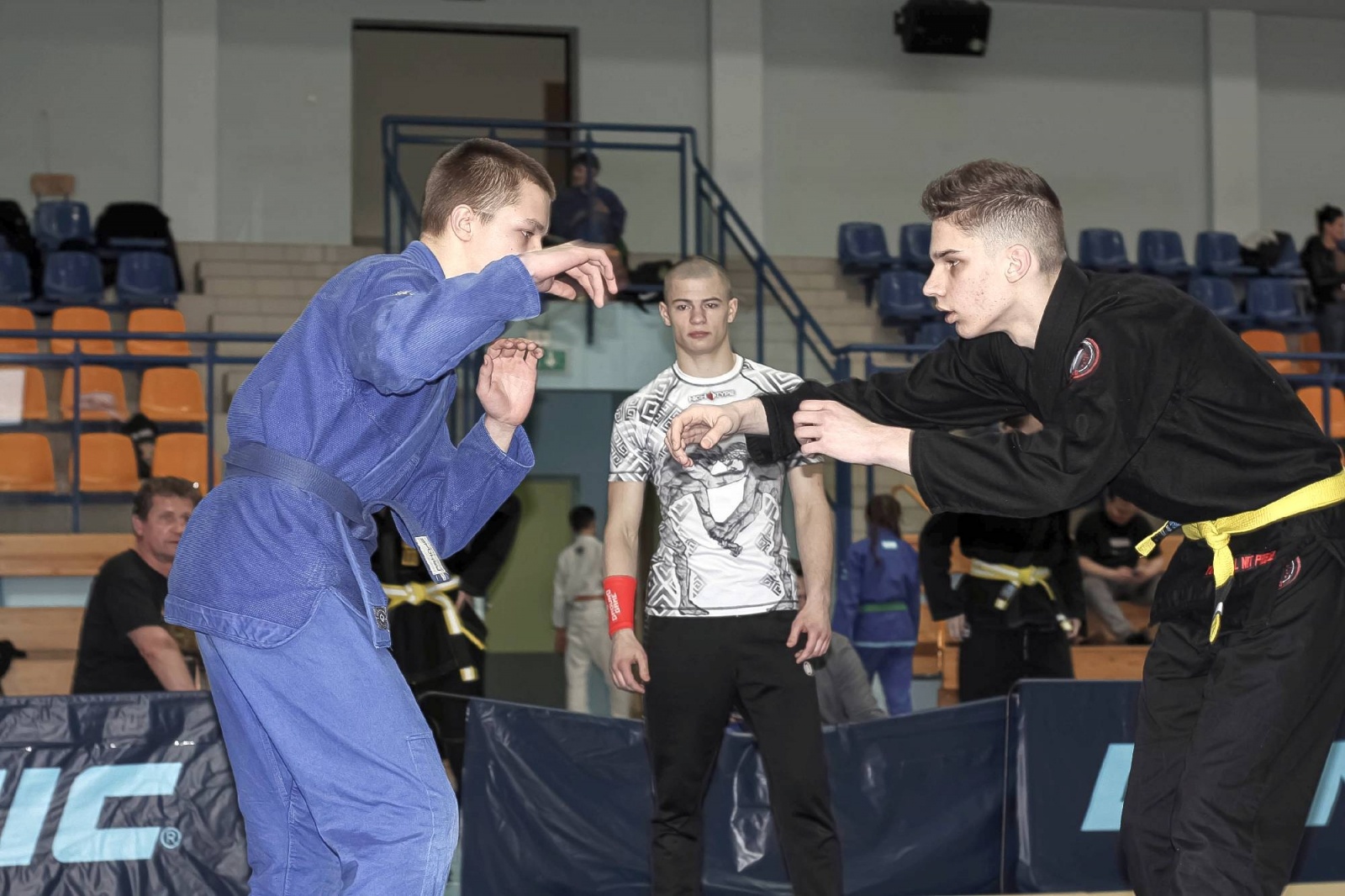 Zdjęcie w galerii na portalu naszwodzislaw.com: Medalowa sobota Octagon Team wiadomości z regionu