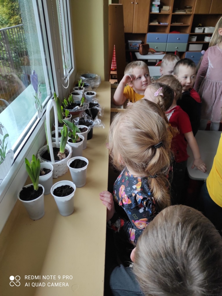 Zdjęcie w galerii na portalu naszwodzislaw.com: Przedszkolaki z Pszowa przywitały wiosnę wiadomości z regionu