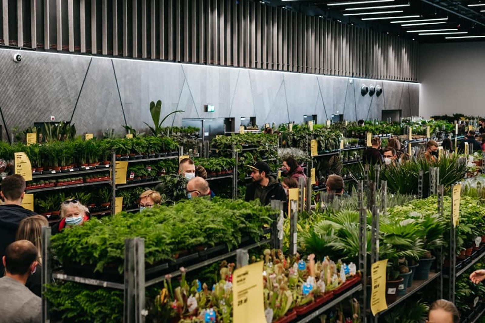 Zdjęcie w galerii na portalu naszwodzislaw.com: Wiosna w Międzynarodowym Centrum Kongresowym w Katowicach - największy targ roślin doniczkowych w Polsce! wiadomości z regionu