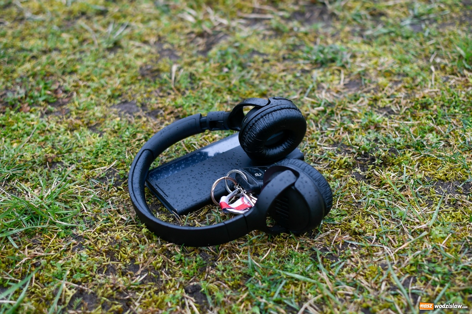 Zdjęcie w galerii na portalu naszwodzislaw.com: Mateusz Mrówka z Radlina wygrał VIII Kuźniański Półmaraton Leśny RAFAMET [FOTO i WIDEO] wiadomości z regionu