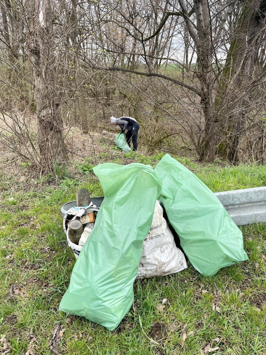 Zdjęcie w galerii na portalu naszwodzislaw.com: Wielkie sprzątanie Syryni wiadomości z regionu
