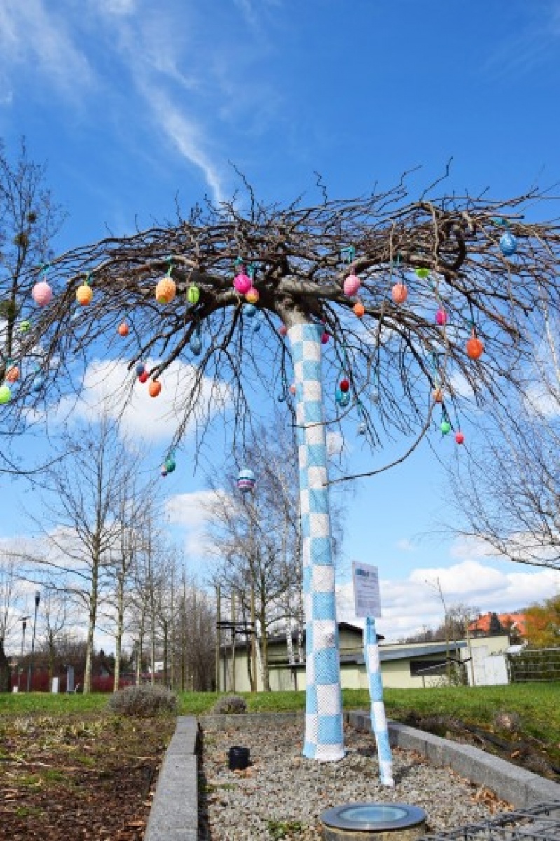 Zdjęcie w galerii na portalu naszwodzislaw.com: Kolejne drzewko do przytulania w Rydułtowach wiadomości z regionu