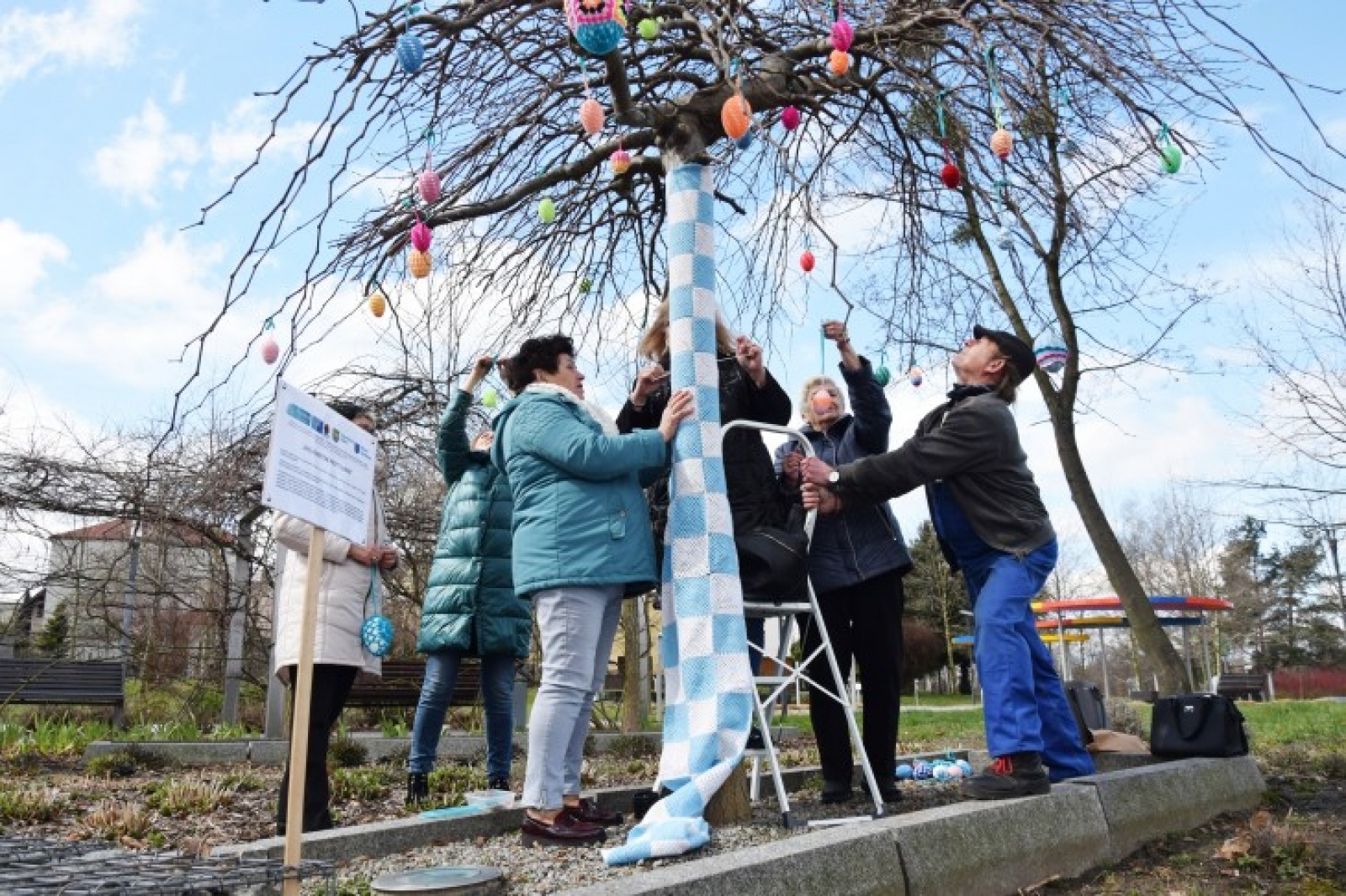 Zdjęcie w galerii na portalu naszwodzislaw.com: Kolejne drzewko do przytulania w Rydułtowach wiadomości z regionu