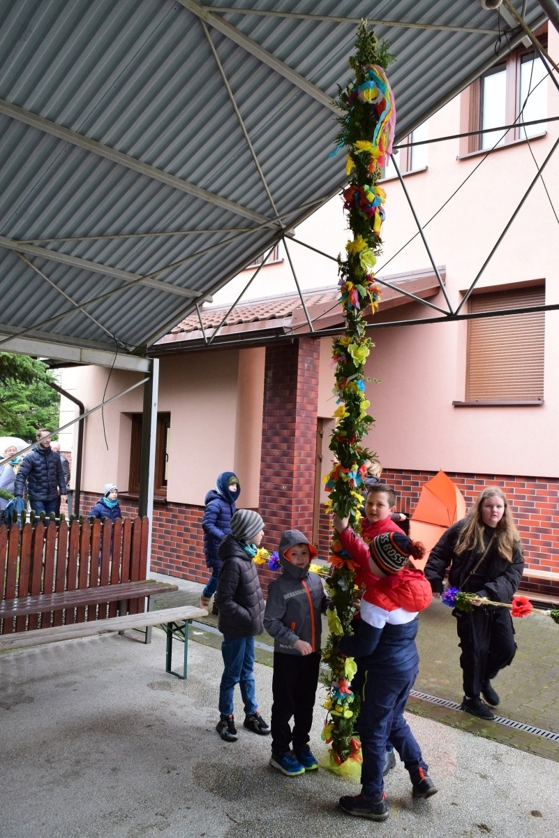 Zdjęcie w galerii na portalu naszwodzislaw.com: Najwyższa palma i najpyszniejszy maszket. Konkursowy weekend w Skrbeńsku [FOTO] wiadomości z regionu