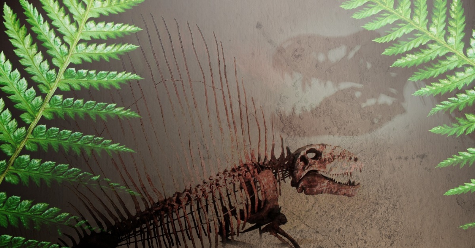 Zdjęcie w galerii na portalu naszwodzislaw.com: Niedziela z prehistorią w Ignacym wiadomości z regionu