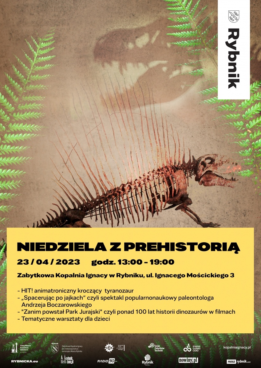 Zdjęcie w galerii na portalu naszwodzislaw.com: Niedziela z prehistorią w Ignacym wiadomości z regionu