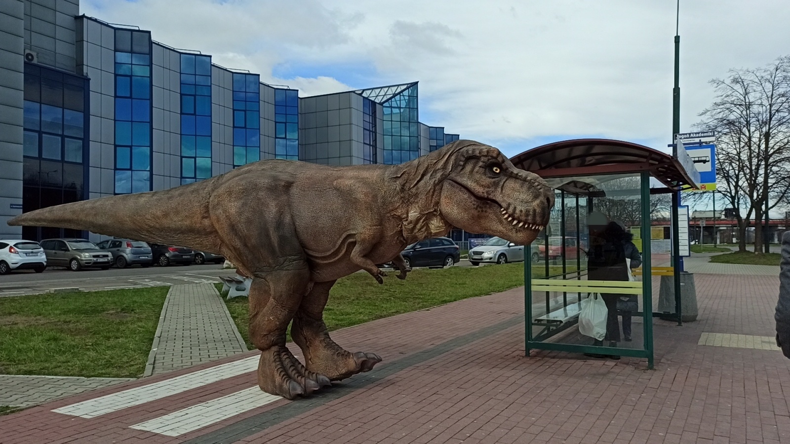 Zdjęcie w galerii na portalu naszwodzislaw.com: Niedziela z prehistorią w Ignacym wiadomości z regionu