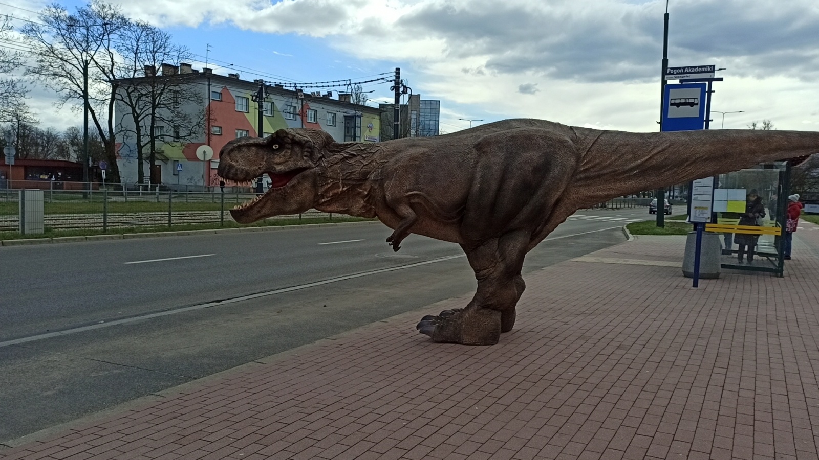 Zdjęcie w galerii na portalu naszwodzislaw.com: Niedziela z prehistorią w Ignacym wiadomości z regionu