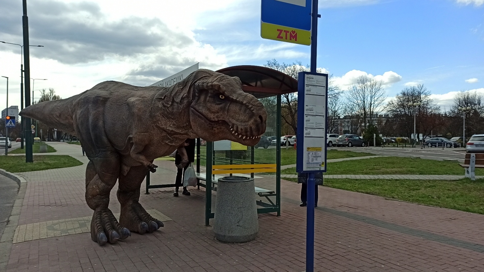 Zdjęcie w galerii na portalu naszwodzislaw.com: Niedziela z prehistorią w Ignacym wiadomości z regionu