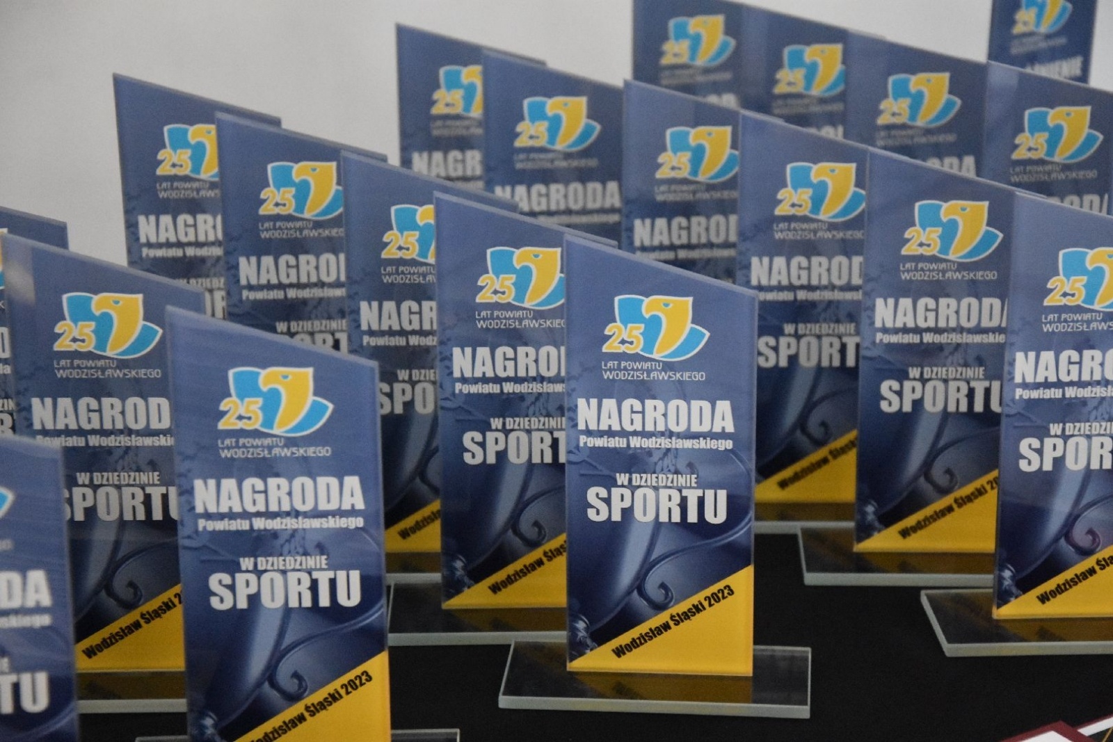 Zdjęcie w galerii na portalu naszwodzislaw.com: Nagrody Powiatu Wodzisławskiego w dziedzinie kultury i sportu rozdane [FOTO] wiadomości z regionu