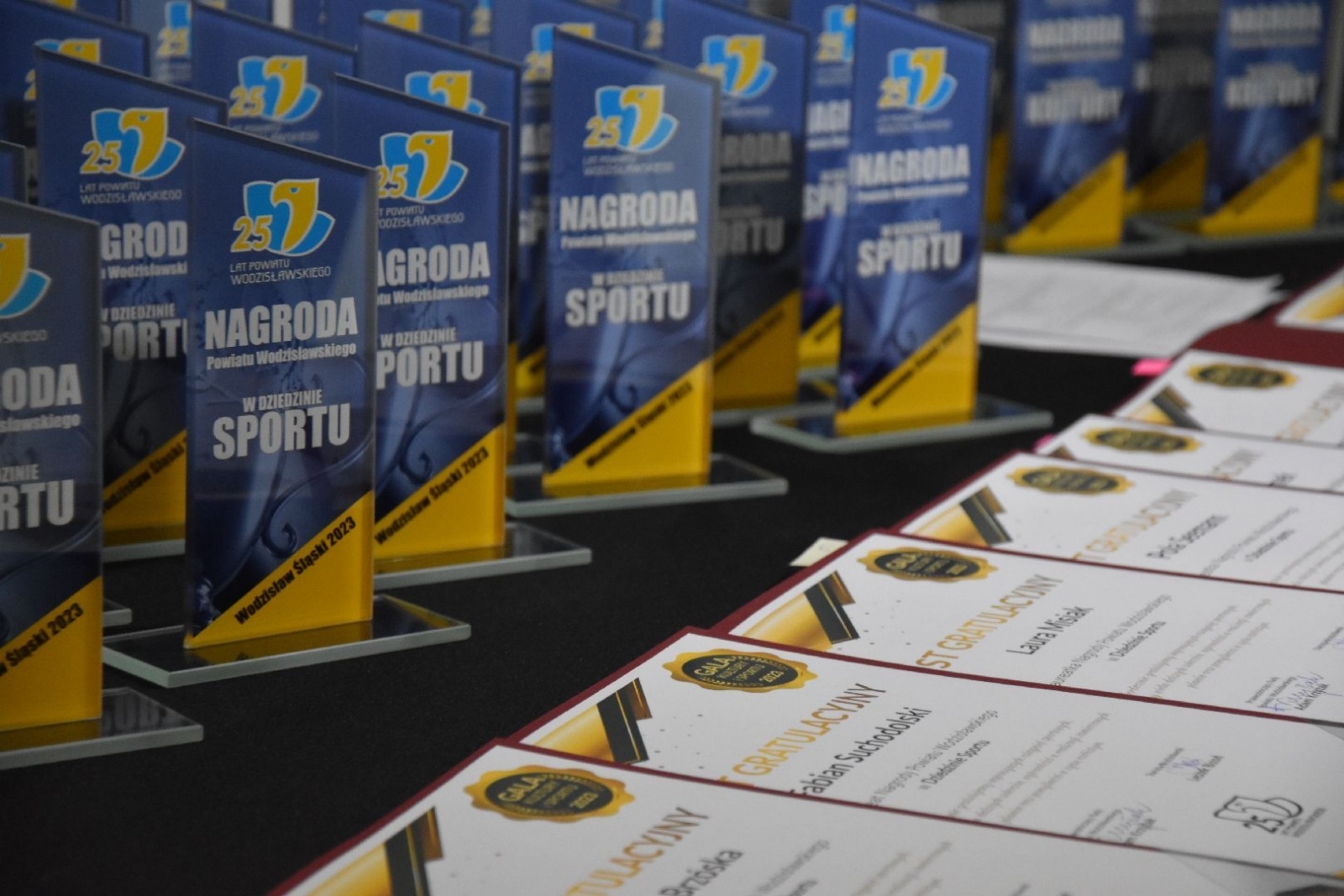 Zdjęcie w galerii na portalu naszwodzislaw.com: Nagrody Powiatu Wodzisławskiego w dziedzinie kultury i sportu rozdane [FOTO] wiadomości z regionu