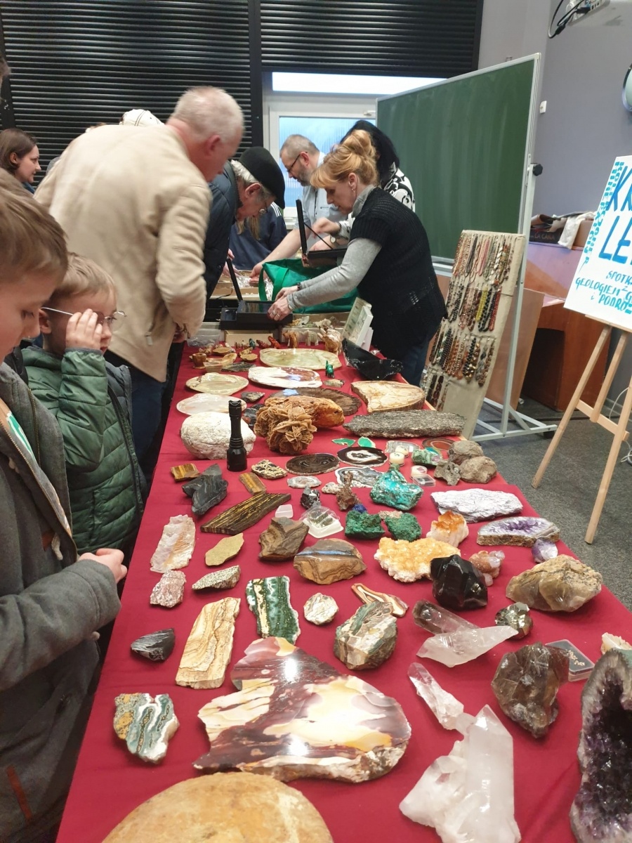 Zdjęcie w galerii na portalu naszwodzislaw.com: Dwa dni z geologiem w SP16 wiadomości z regionu