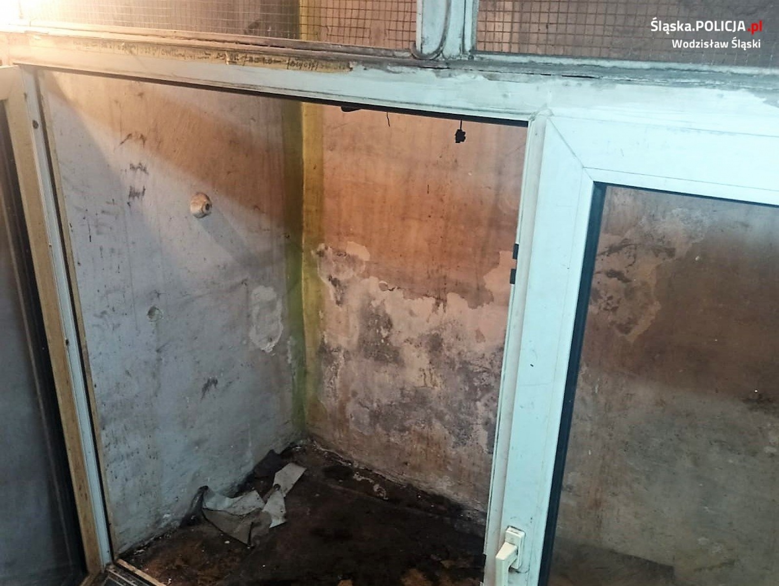 Zdjęcie w galerii na portalu naszwodzislaw.com: Trzy psy w fatalnych warunkach. Pomogli policjanci z Wodzisławia Śląskiego wiadomości z regionu