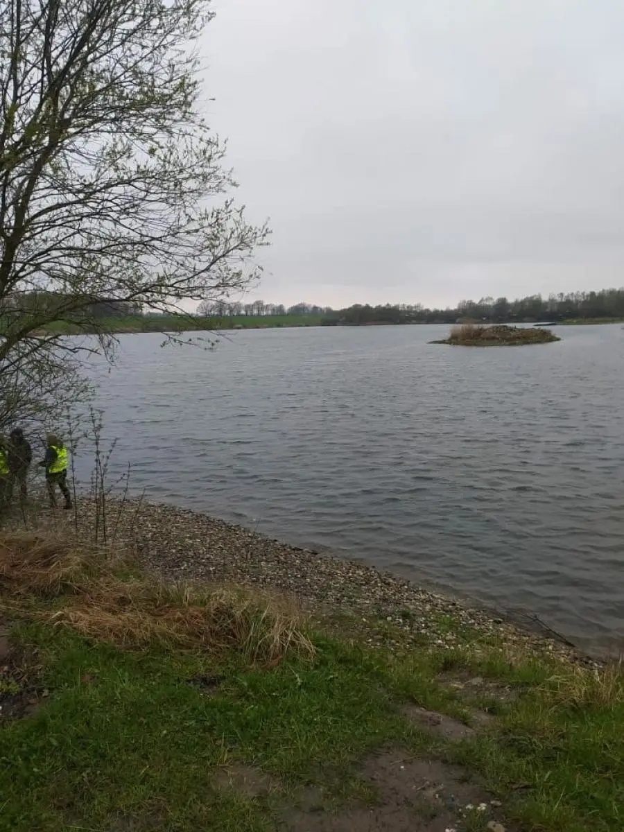 Zdjęcie w galerii na portalu naszwodzislaw.com: Wysoce zjadliwa grypa ptaków w powiecie raciborskim. Zagrożenie dla ludzi wiadomości z regionu