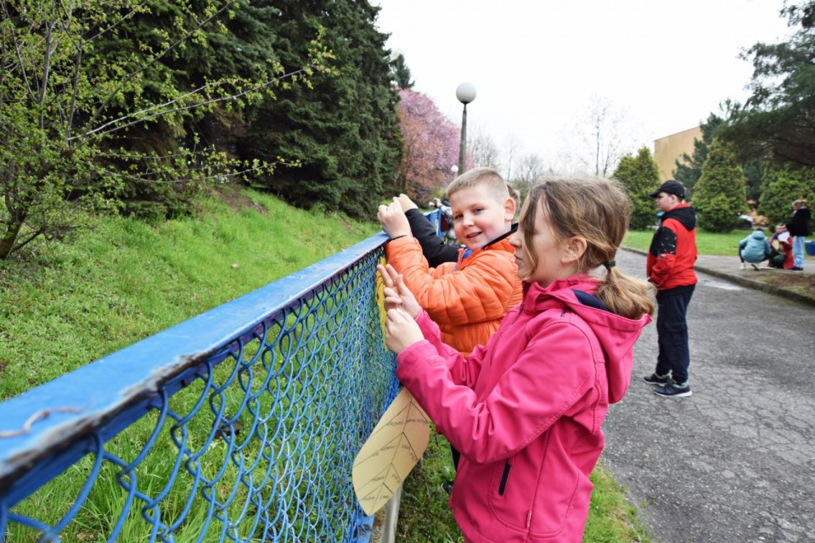 Zdjęcie w galerii na portalu naszwodzislaw.com: Rydułtowy. Nietypowe życzenia dla naszej planety [FOTO] wiadomości z regionu