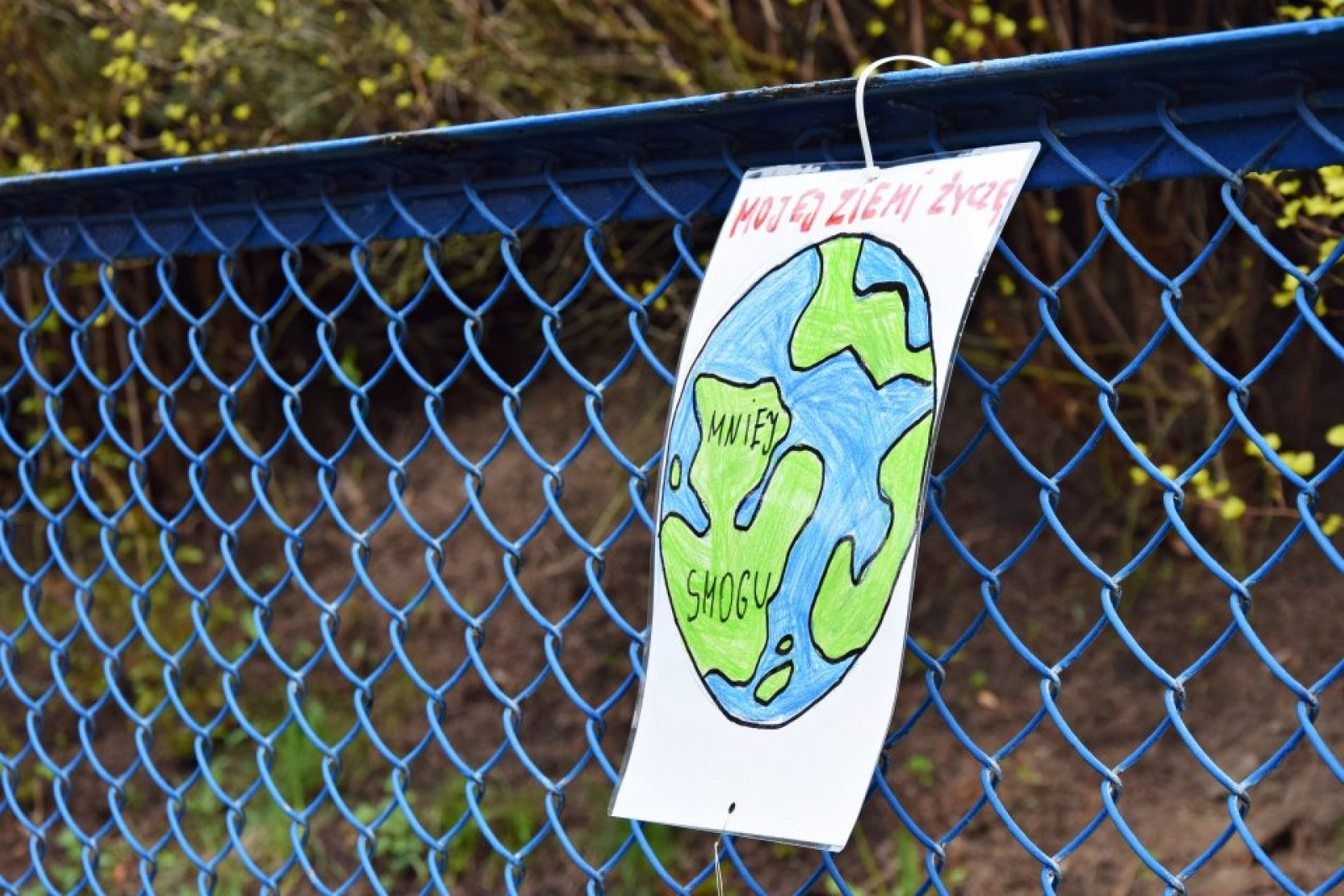 Zdjęcie w galerii na portalu naszwodzislaw.com: Rydułtowy. Nietypowe życzenia dla naszej planety [FOTO] wiadomości z regionu