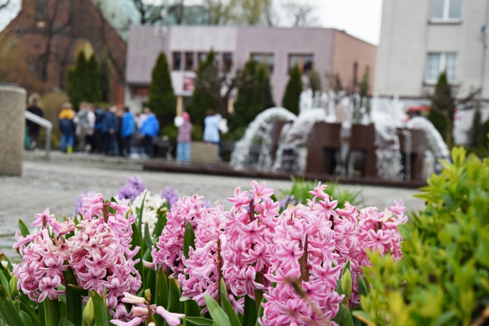 Zdjęcie w galerii na portalu naszwodzislaw.com: Rydułtowy. Nietypowe życzenia dla naszej planety [FOTO] wiadomości z regionu