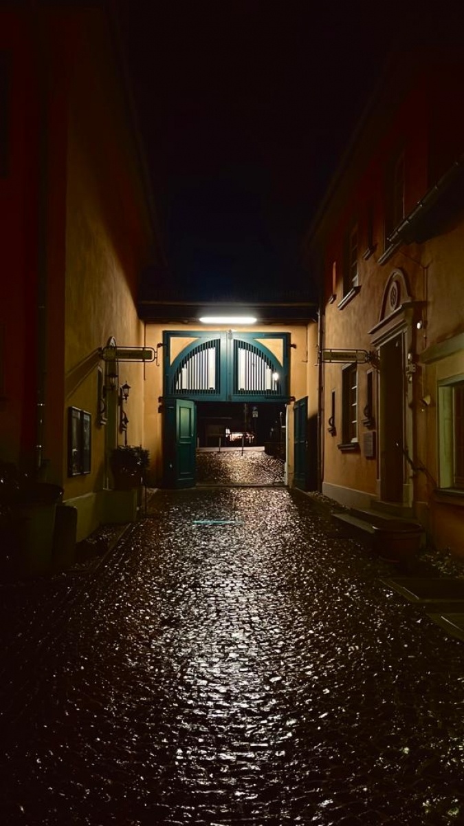 Zdjęcie w galerii na portalu naszwodzislaw.com: Śląskie spotkania na warsztatach historycznych w Königswinter jak zwykle udane wiadomości z regionu