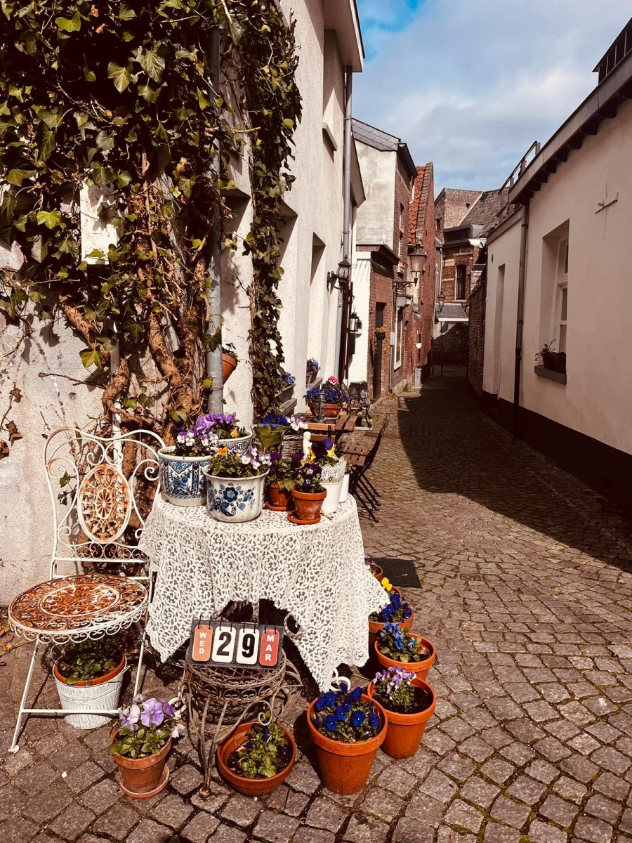 Zdjęcie w galerii na portalu naszwodzislaw.com: Śląskie spotkania na warsztatach historycznych w Königswinter jak zwykle udane wiadomości z regionu