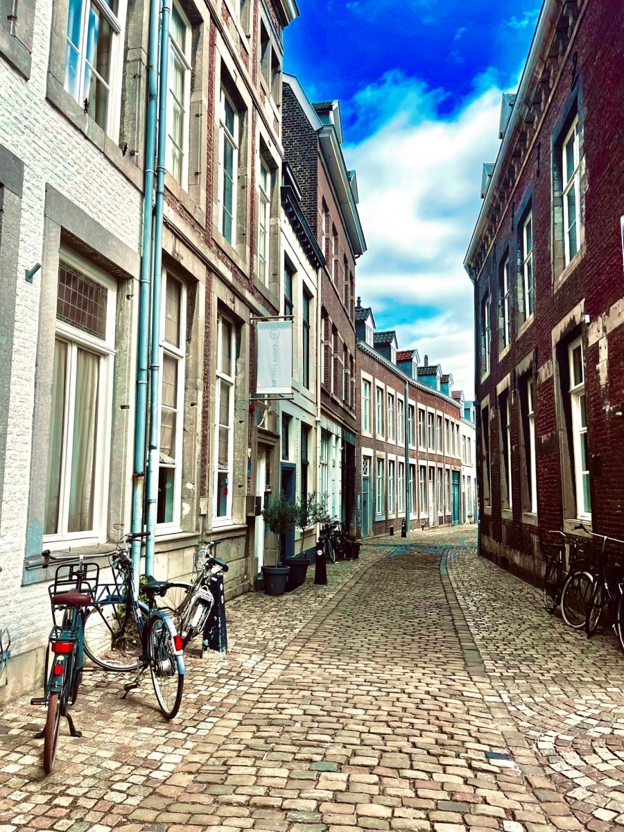 Zdjęcie w galerii na portalu naszwodzislaw.com: Śląskie spotkania na warsztatach historycznych w Königswinter jak zwykle udane wiadomości z regionu